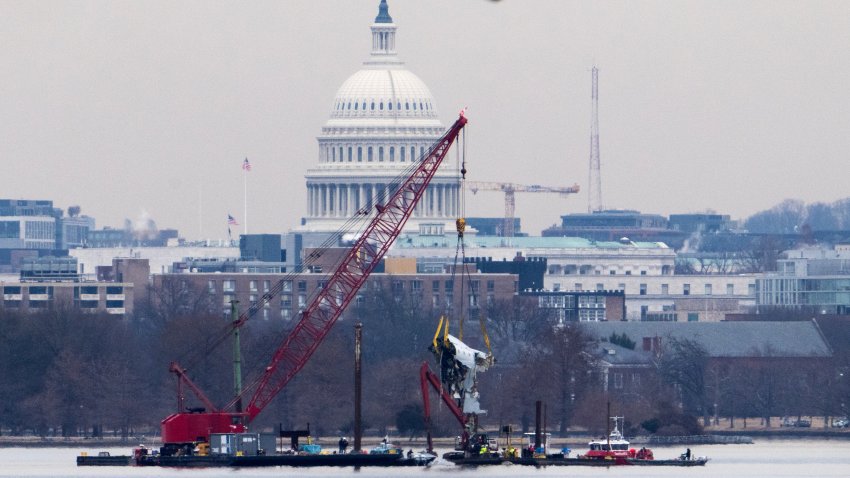 Potomac crash